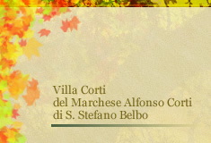 Villa Corti