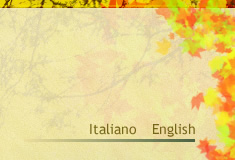 Lingua